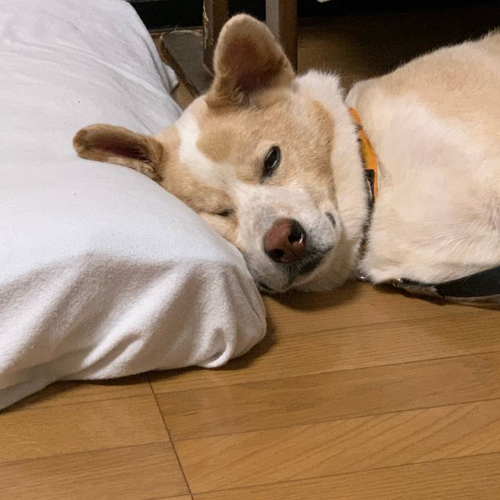 5af4bbbe 5f67 456e aa6d f81763e0fd60 1596116379534