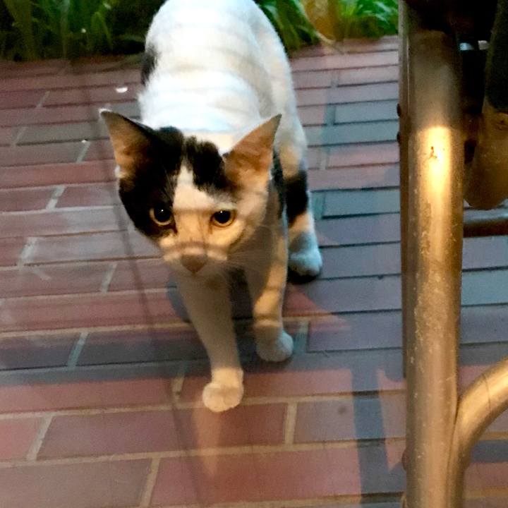 5af4d9c8 c923 4d60 8314 40d5ccf1cbd7 1528266390784