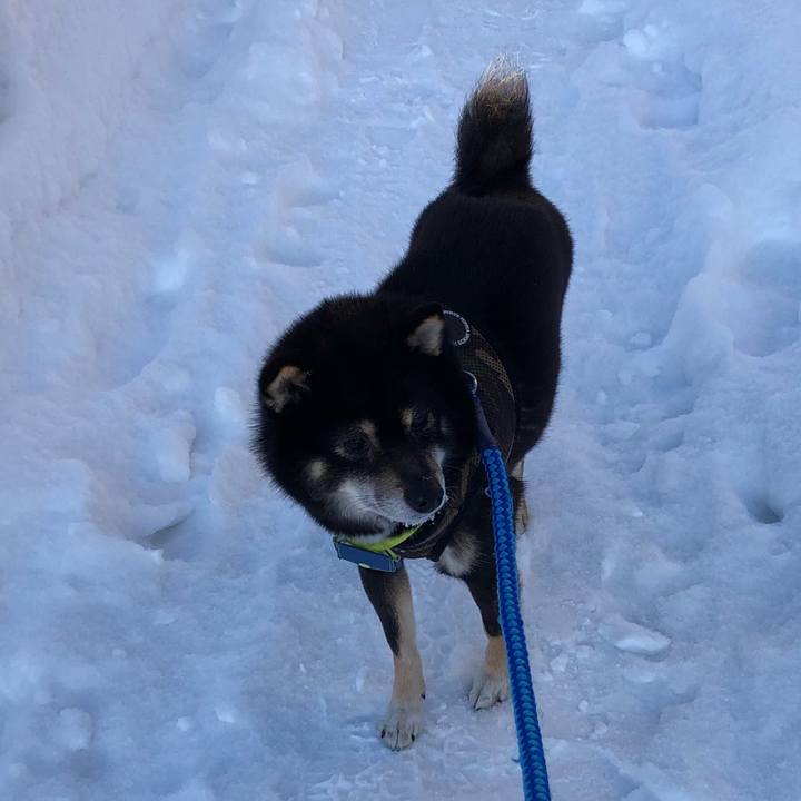 5af52db6 63aa 4d44 a23d ba5cb47263bb 1548625997497