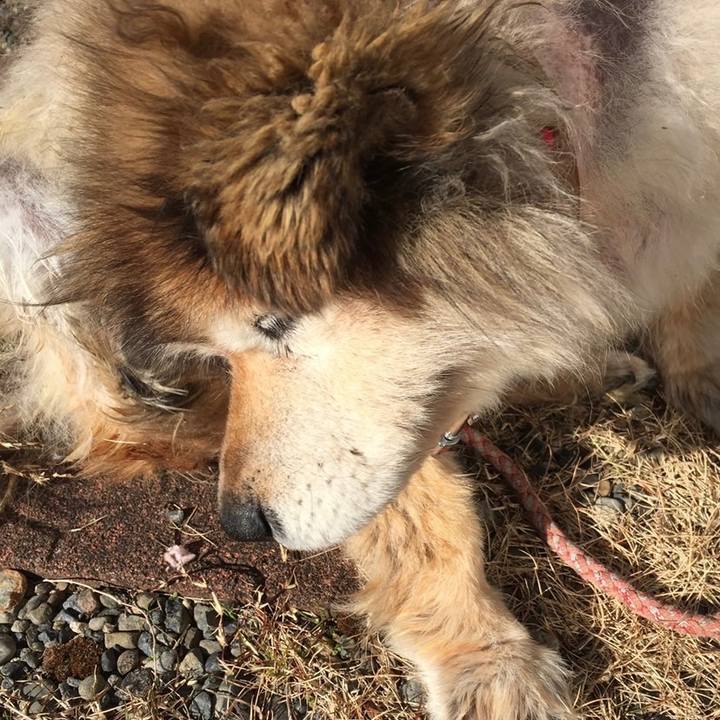 5af554eb 74af 4403 b4aa 387b10260f33 1635825855667