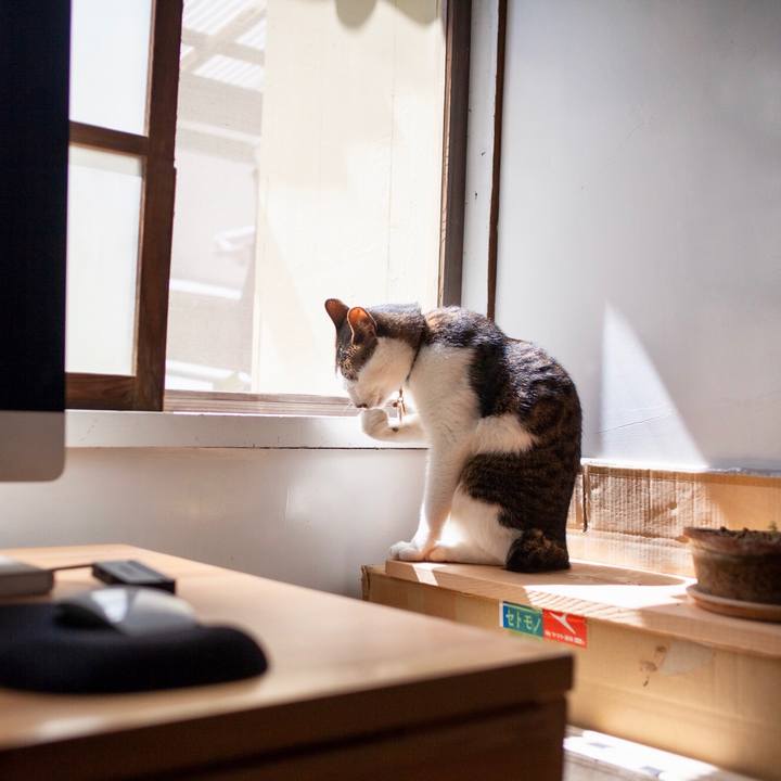 5af56ae3 bb00 41b0 9148 60fbb0c00def 1587527029211