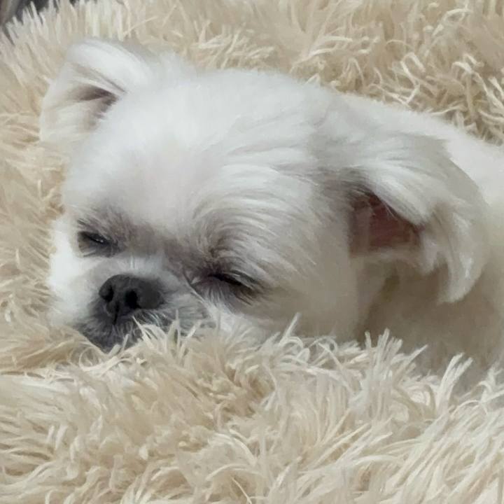 5af599fc 5564 4ff1 80fa 00e599ae62a0 1739107092964