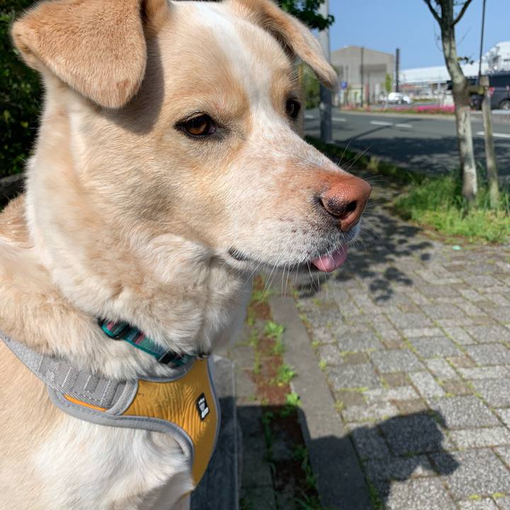 5af5e2c5 9334 4af8 a9ed 85739f990bda 1556761953213