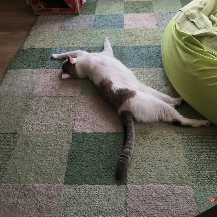 5af5e621 06d2 498c bcf7 76b91029a6d7 1557026024901