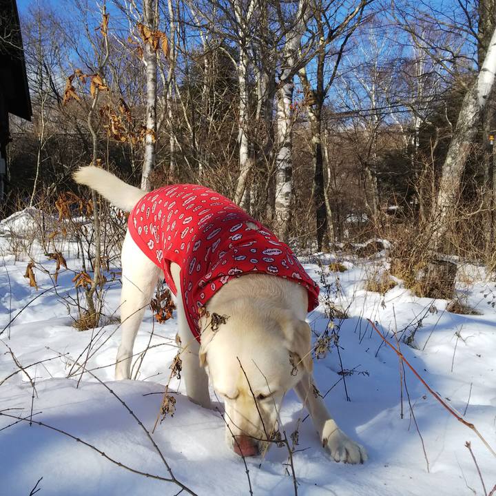 5af66035 154f 4fc7 a8b5 e2fbf300e1e2 1578013625082