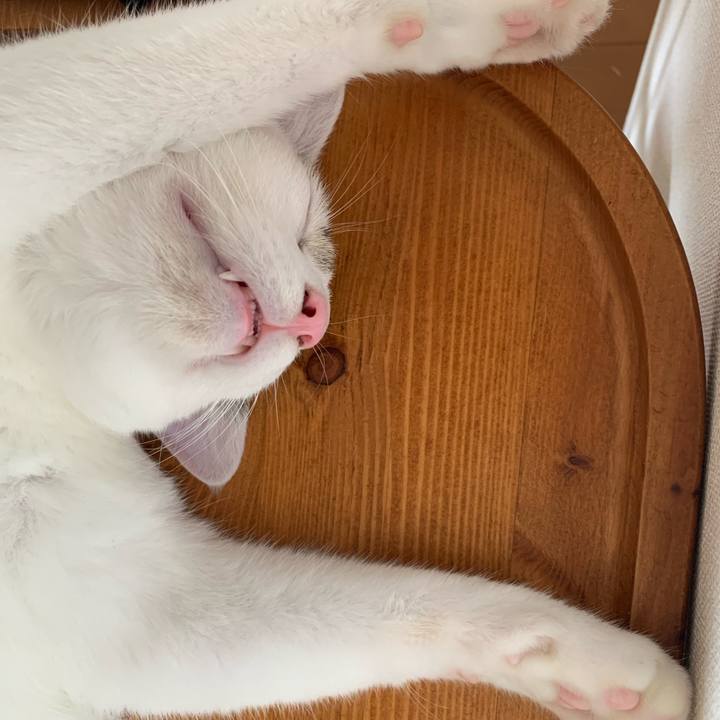 5af672dd 81e2 4037 9ede e74886aa1c04 1612673340434