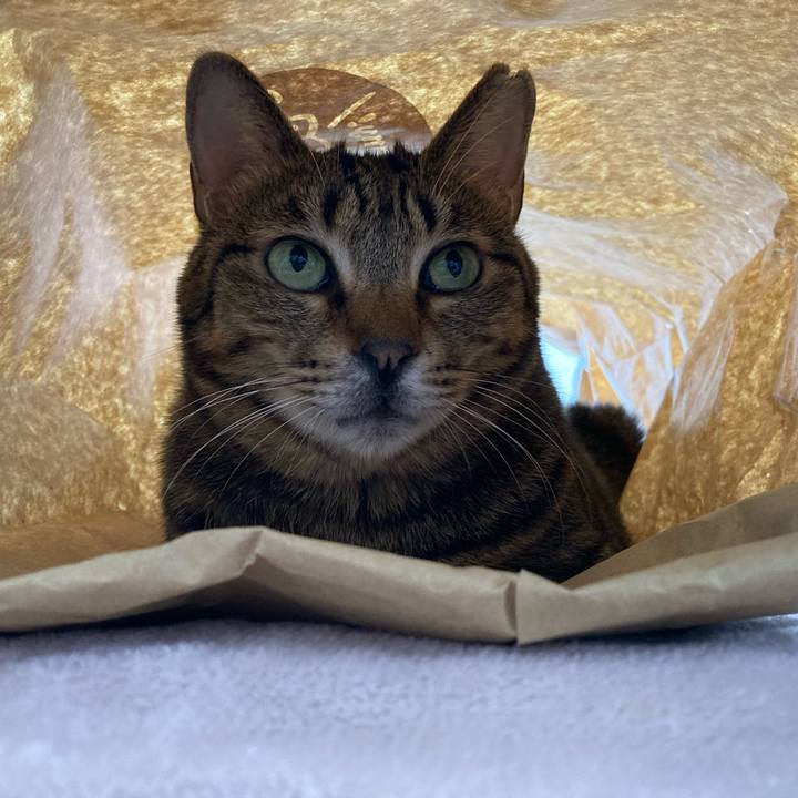 5af6835c 10ad 44fc 87fb feccf0482158 1668040471447