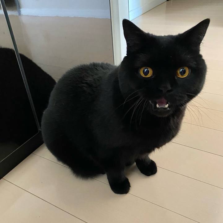 5af6a0b3 d6d3 4fae b7db d6ee0f4d901b 1682463674895