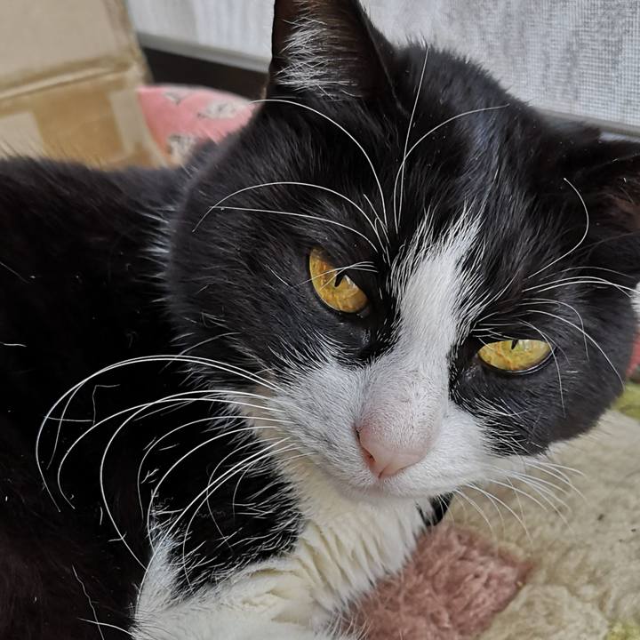 5af6abf1 a854 48c3 84f2 bb252e25f02a 1646625212778