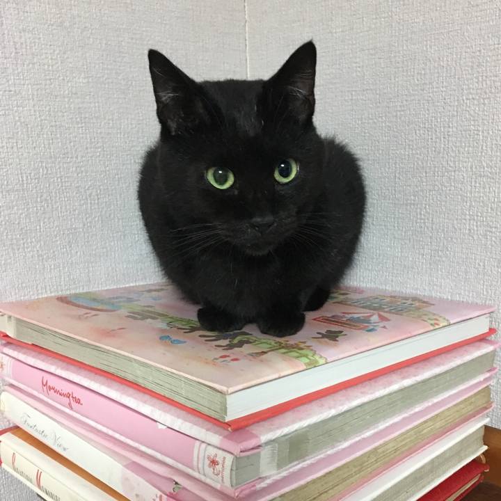 5af6b396 dce8 483a bece 5604584fe018 1535546958336