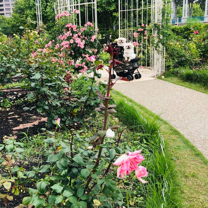 5af6c259 3bb6 4984 a555 c8239382e00e 1621662520859