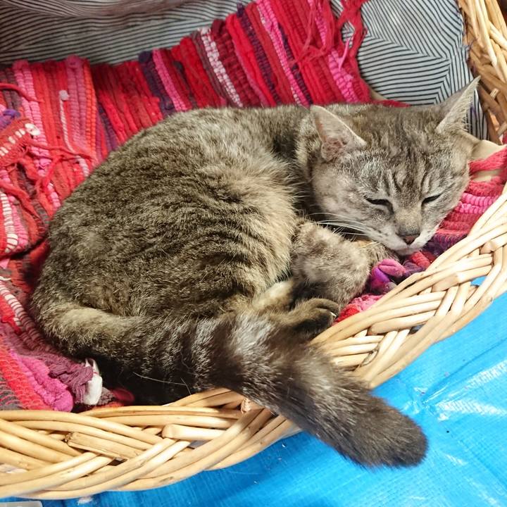 5af6cc3a 113e 44e2 8604 02282404640b 1561281116678