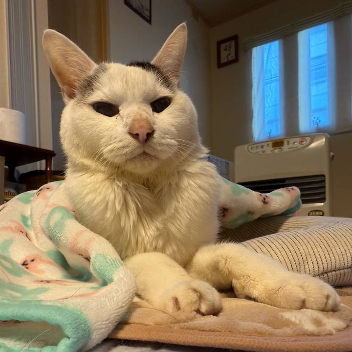 5af6d783 0857 4785 883e ec3e25c7b41d 1766448017887