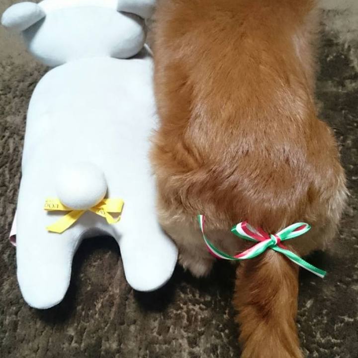 5af6e343 7c21 47c9 848e 3fc5a582b885 1743525886069