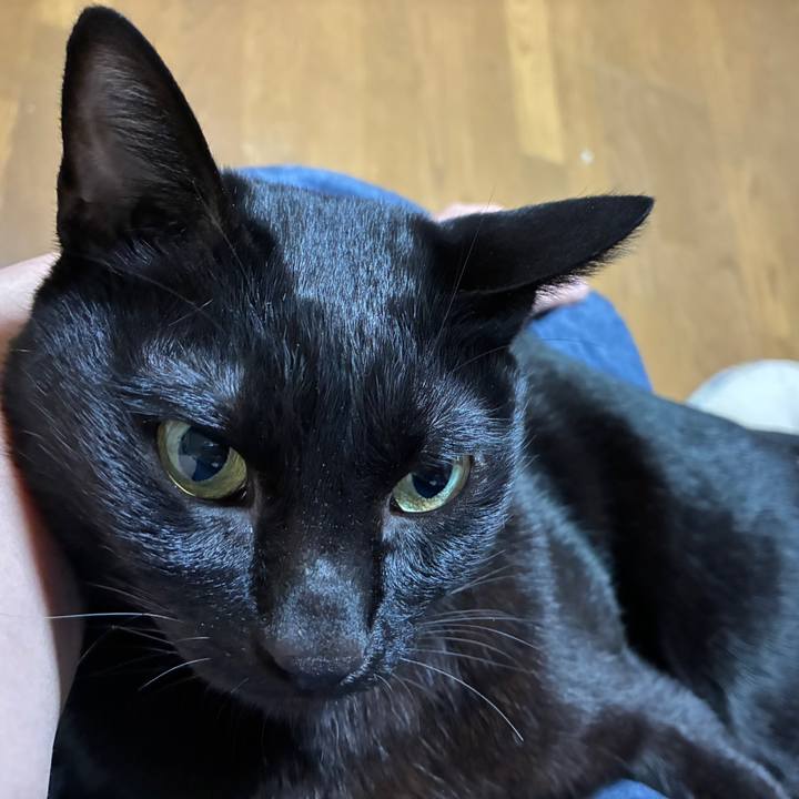 5af73dcb d8c5 4ca6 b4eb df0893f42e00 1760693961855