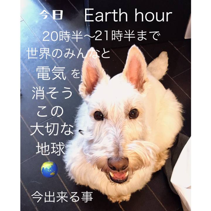 5af74200 c673 4bf4 b1e9 22e50b0eee7e 1585377746320