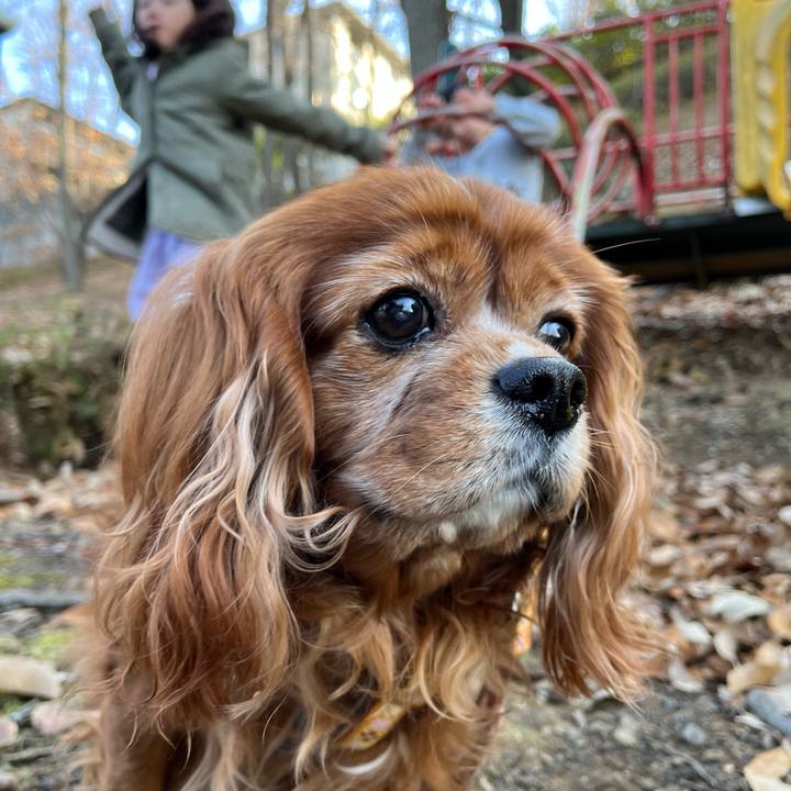 5af75ad4 9f2d 42f8 9a19 be5a95d7c7c1 1703938043436