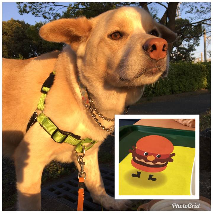 5af782b4 816b 49f5 b917 a482fa629987 1523183595044