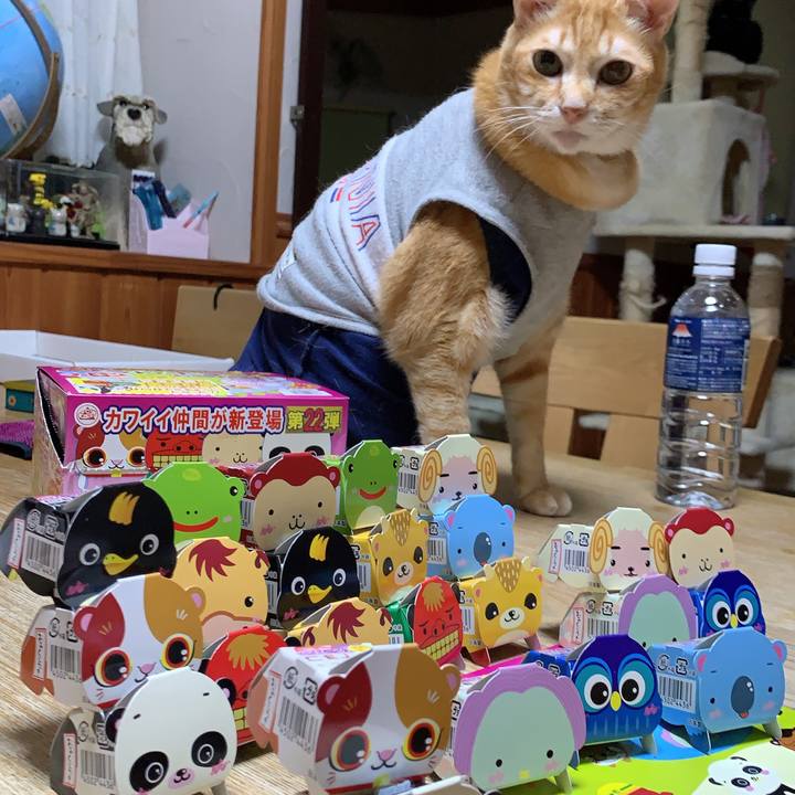 5af7942f 1c60 47bc a214 ca55c6db7637 1613133416674