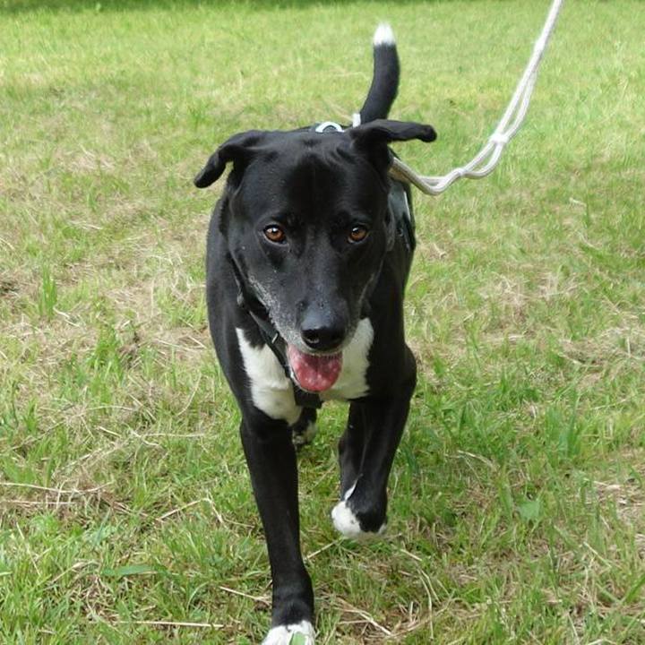 5af7b84c c7f6 4b0b a27c 49fdaa238fab 1651799928312