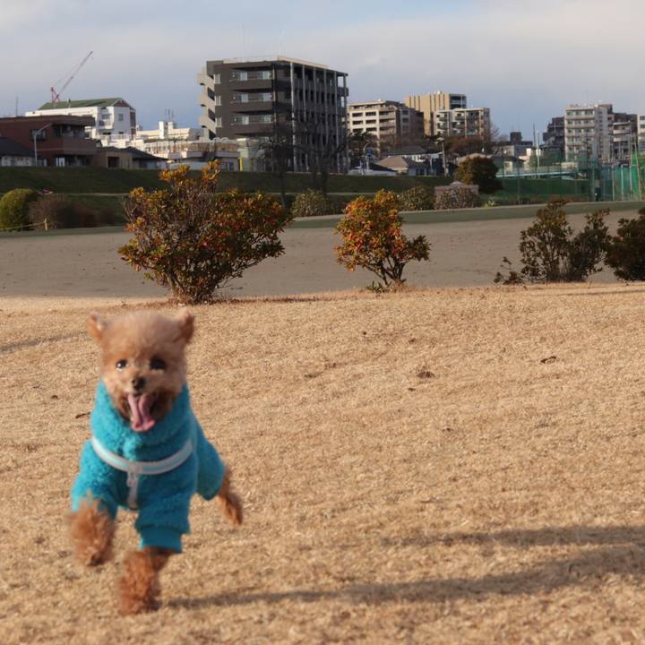 5af7d022 a8ef 4861 8cf1 6c6f2cfeaaa4 1640946440454