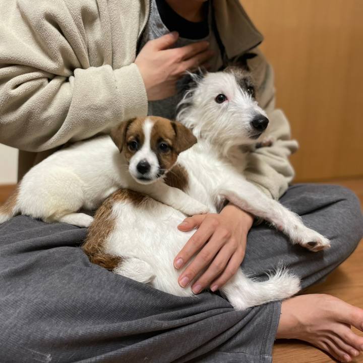 5af7e240 63ca 494b bb41 850dfad71029 1614681830274