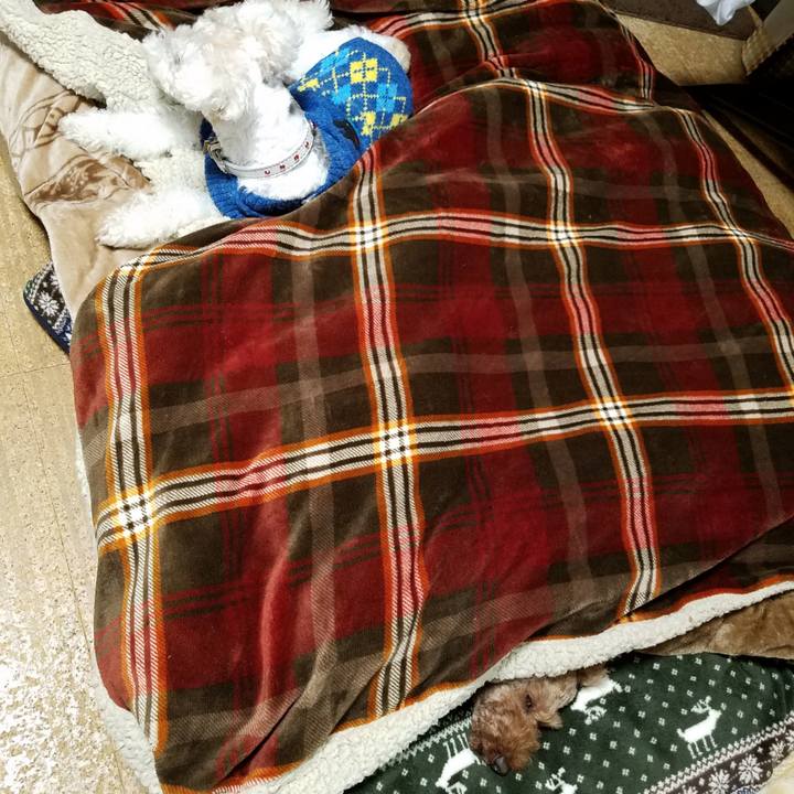 5af7ffd5 81e9 4f8e aa67 fa3986ec3db2 1548907275241