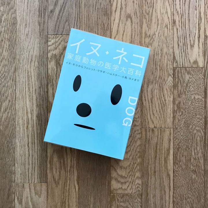 5af81a0e ddcf 48b0 90e7 70aaa0288795 1526001483056