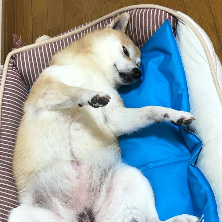 5af833b7 90cb 4c57 97c5 d1ede6fbf6fa 1595160912921