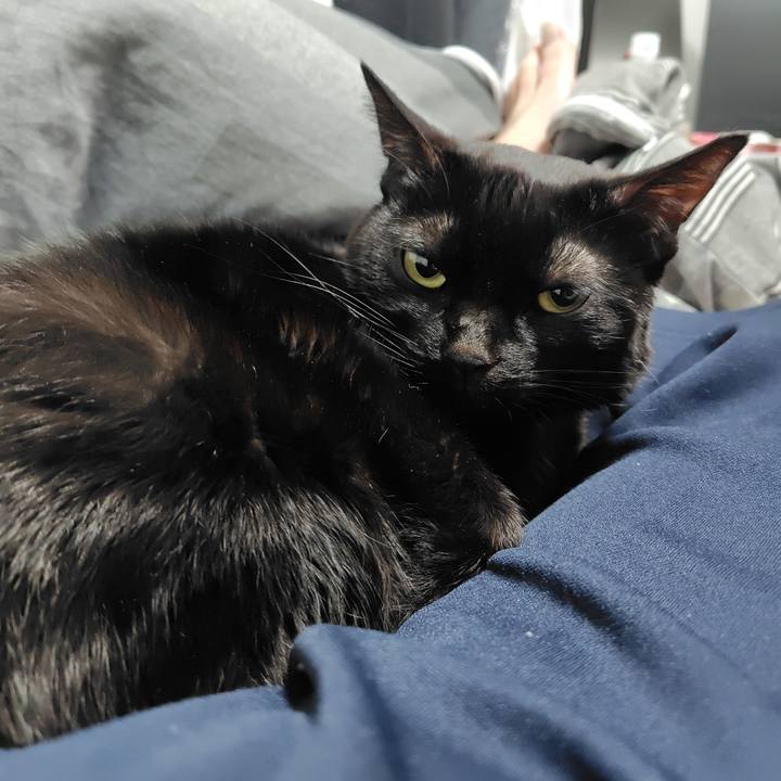 5af86a94 6c99 4607 8a82 6c27e896af8e 1735545378271