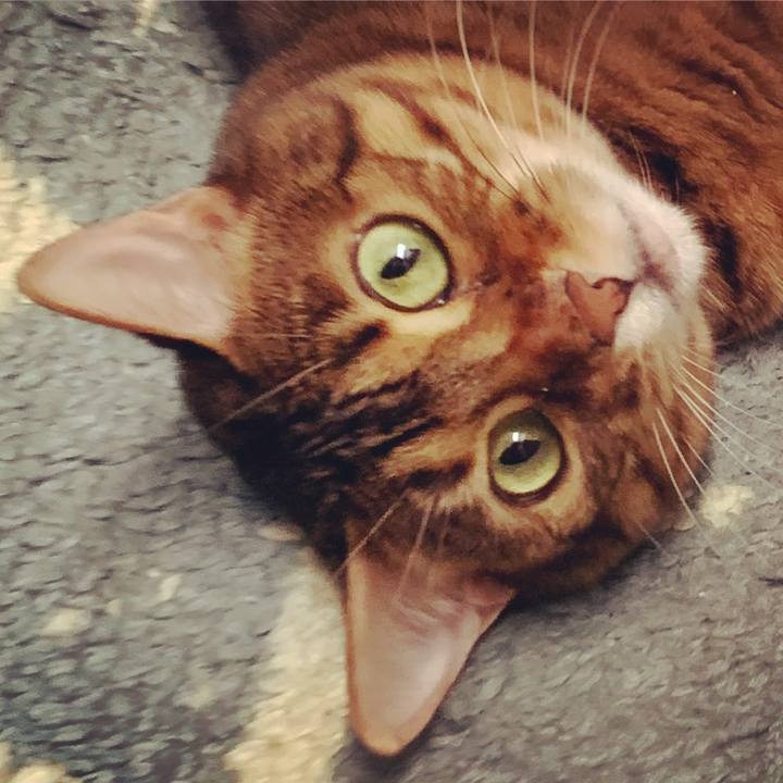 5af8dd7f 1207 40c1 9ce3 e43124c1130c 1608855664212