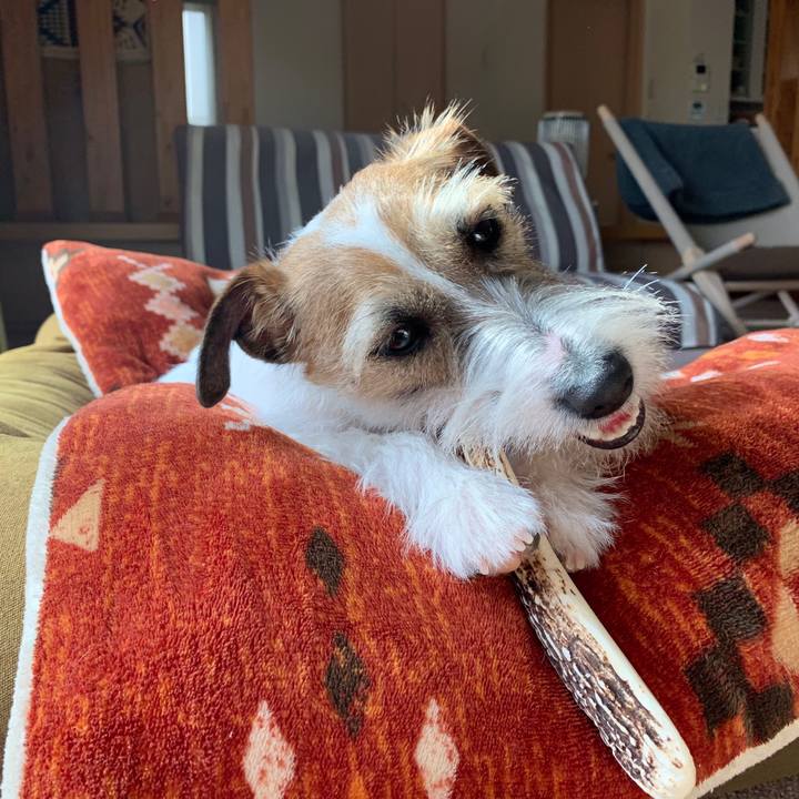 5af90d3a eb82 4a0b a555 4bb8bccb37fc 1584081136406