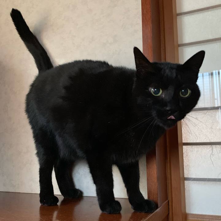 5af94d47 817a 42ab 82f3 343cfb4161ee 1546908981984