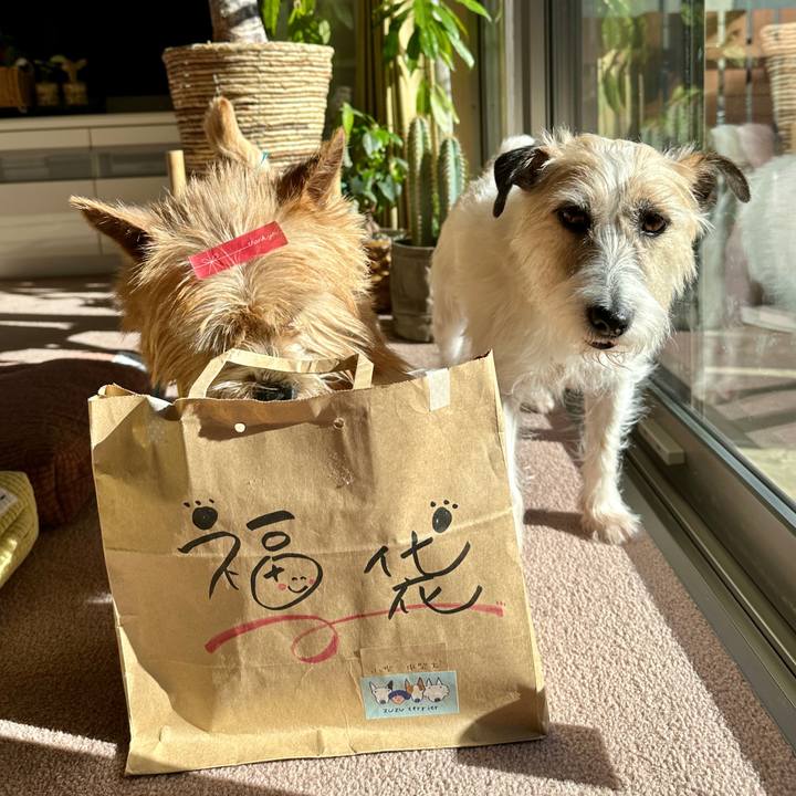 5af9ad8a 2be8 477c b53c 41742afe5000 1768048268831