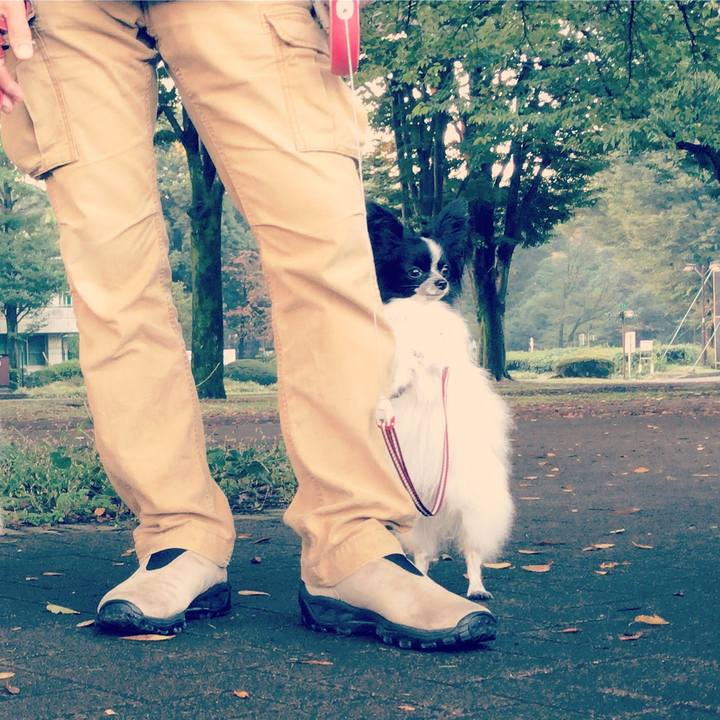 5af9c8b1 e346 4c09 8086 481f8f498a95 1508322468060