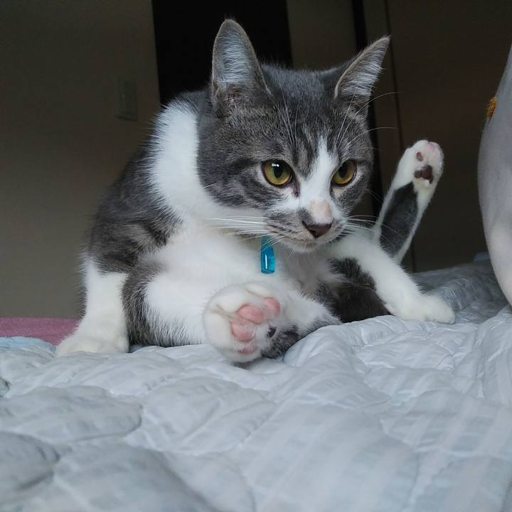 5af9ce8f 4397 4766 8189 e6e0ded89658 1574464868338