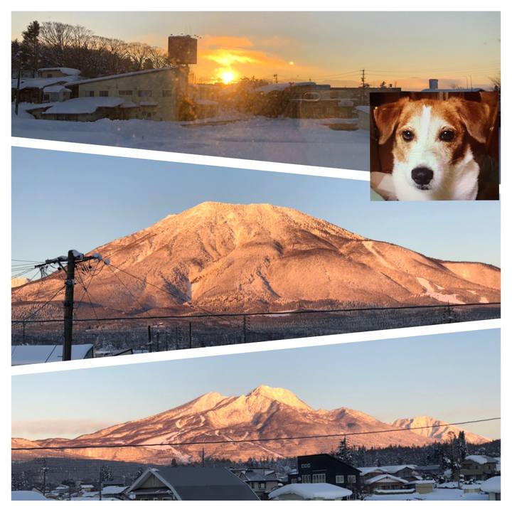 5afa2188 6f3d 4929 a310 ddad32682c98 1546324582447