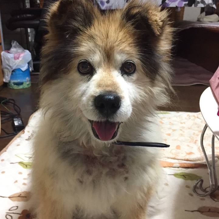 5afa372d 6903 4dff bd7b d2a8a0cfceca 1635806732682