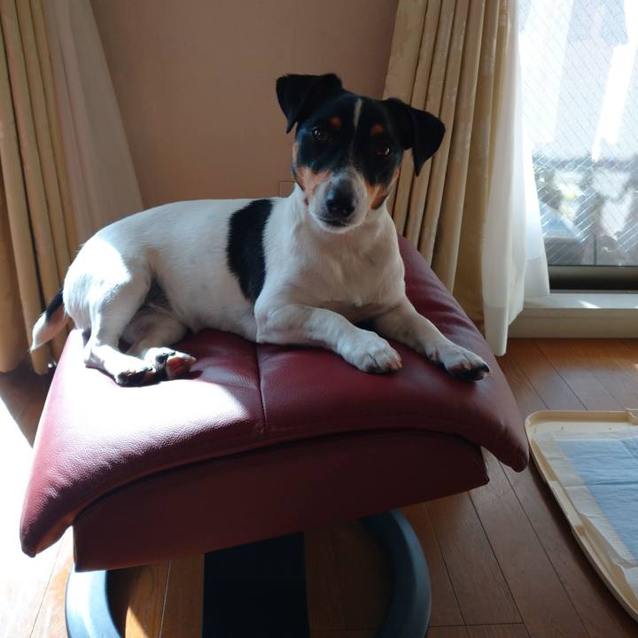 5afa3800 cbc8 4a38 97f9 09bb030a0026 1579143531702