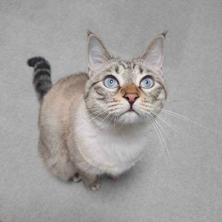 5afa9022 bc36 48c6 8ce5 f8e74d1010f3 1540980847201