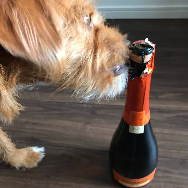 5afa90c1 af49 4281 95ea 5771b6dcb415 1540551194495