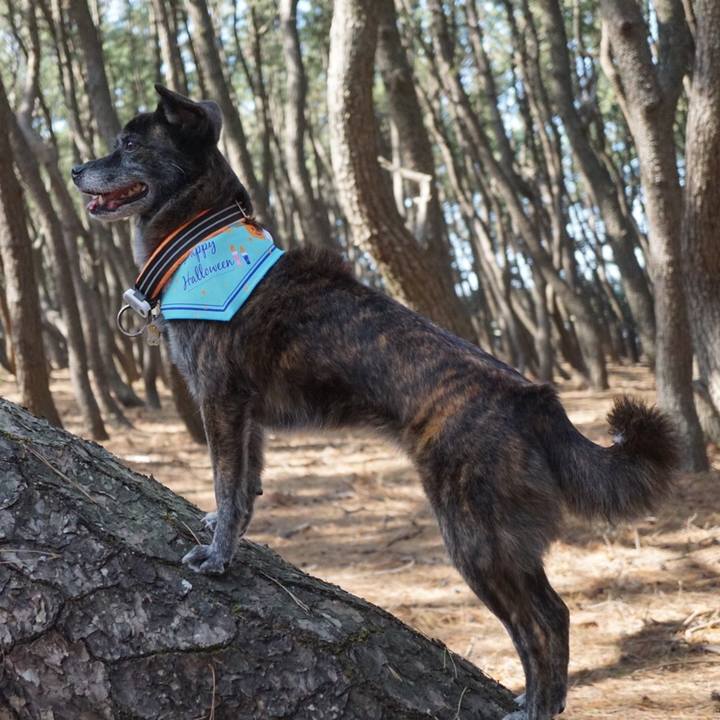 5afa9ea7 612b 468c af84 4b218eca3cb0 1605183055811