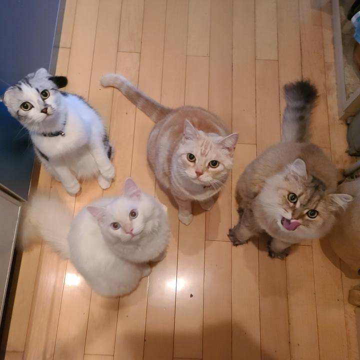 5afab133 0ae2 4112 abc0 4b6da3a4aea1 1663886332043