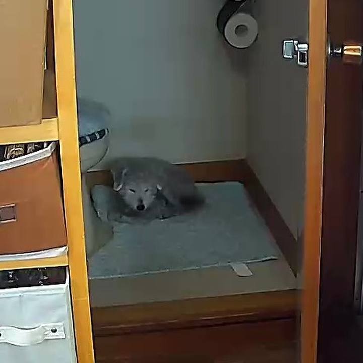 5afaf837 e4fa 4085 b709 53fe6bf61ccd 1619332842452