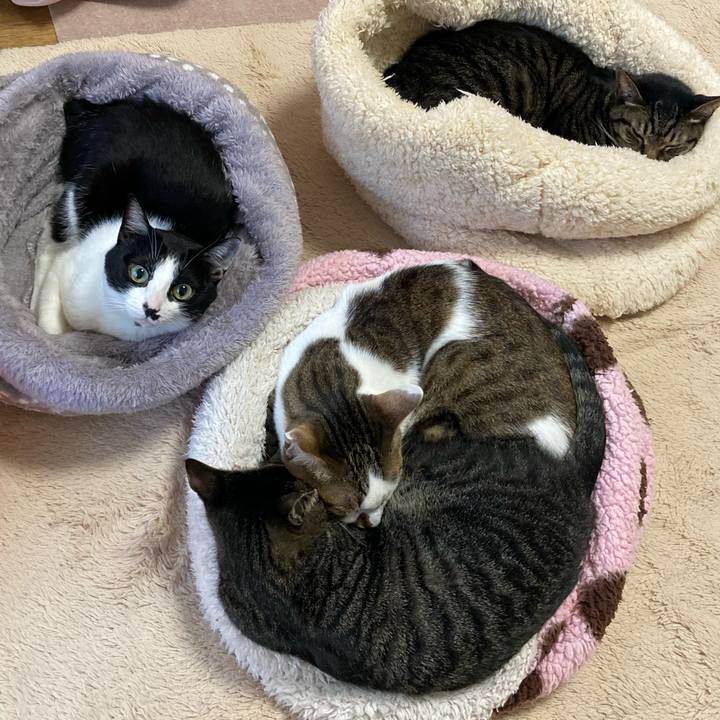 5afb183f cda9 44b8 b428 3f45f2b48083 1613776065143