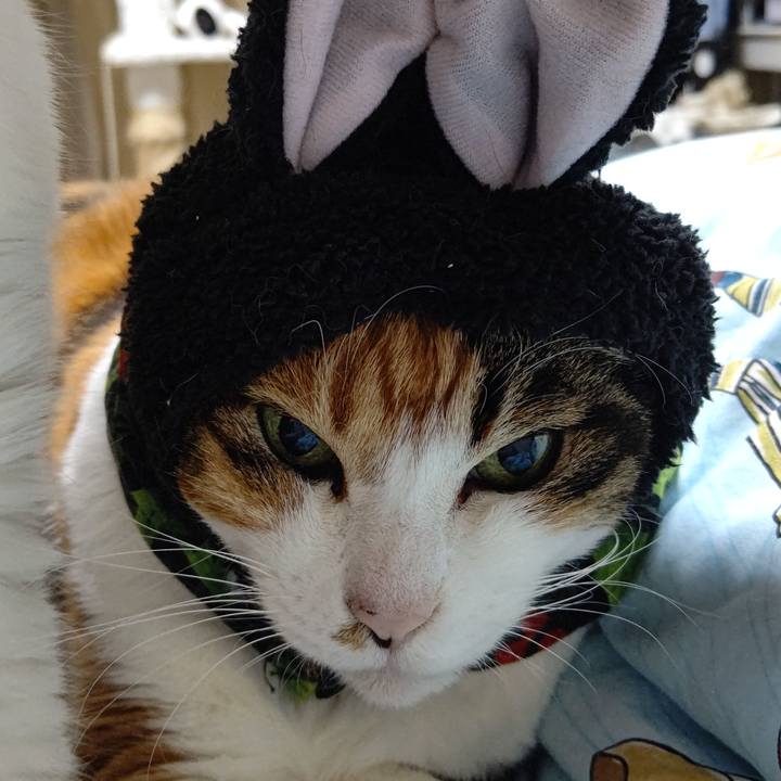 5afb57dc e909 4d72 bb93 c8aa9ffb0f79 1650200116355