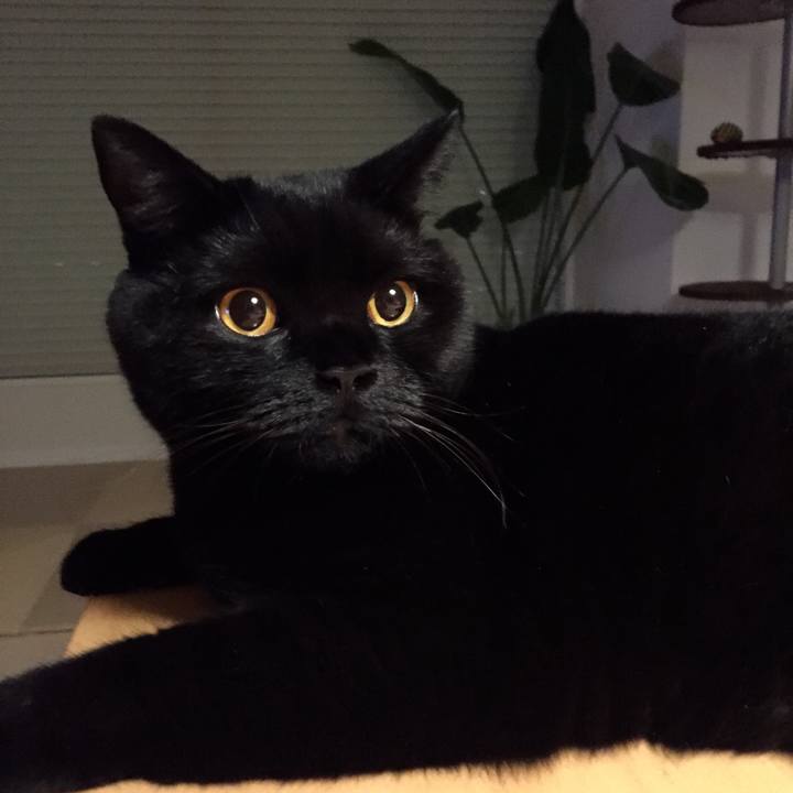 5afb5daa 08e2 4278 975a ac091e0b4071 1535200559277