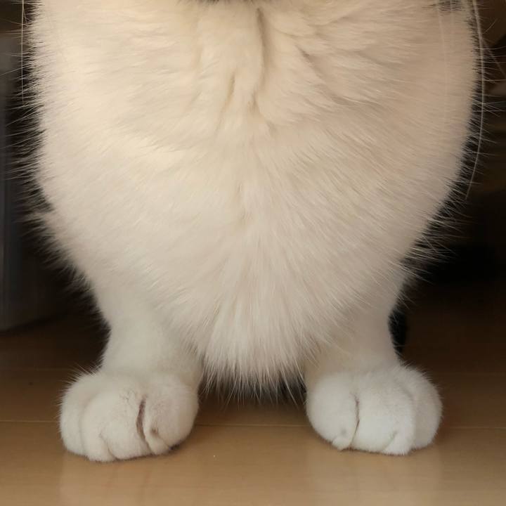 5afb6377 23e6 4fb2 9eba 42fac0b4e009 1636185515681