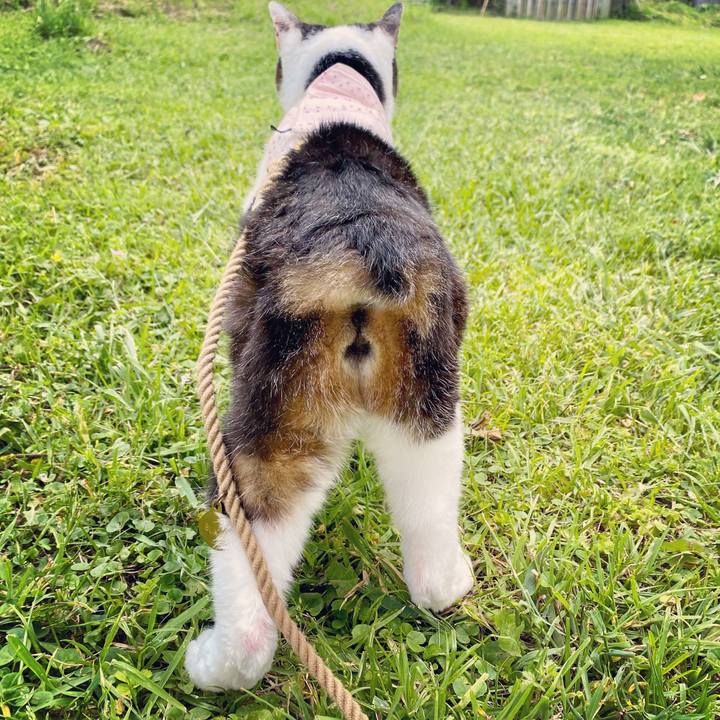 5afb6806 2f92 4981 87a6 71e1ef62653d 1622349029718