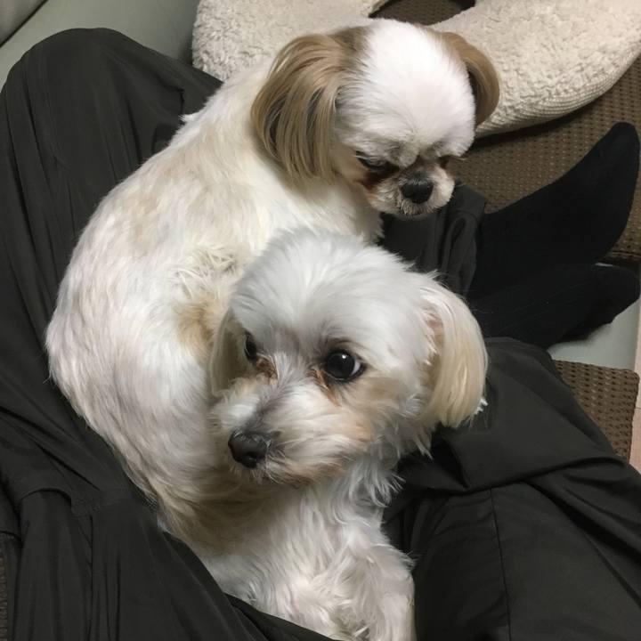 5afb7e5d 0f17 485a 977d 93acb4516bd7 1511878264614